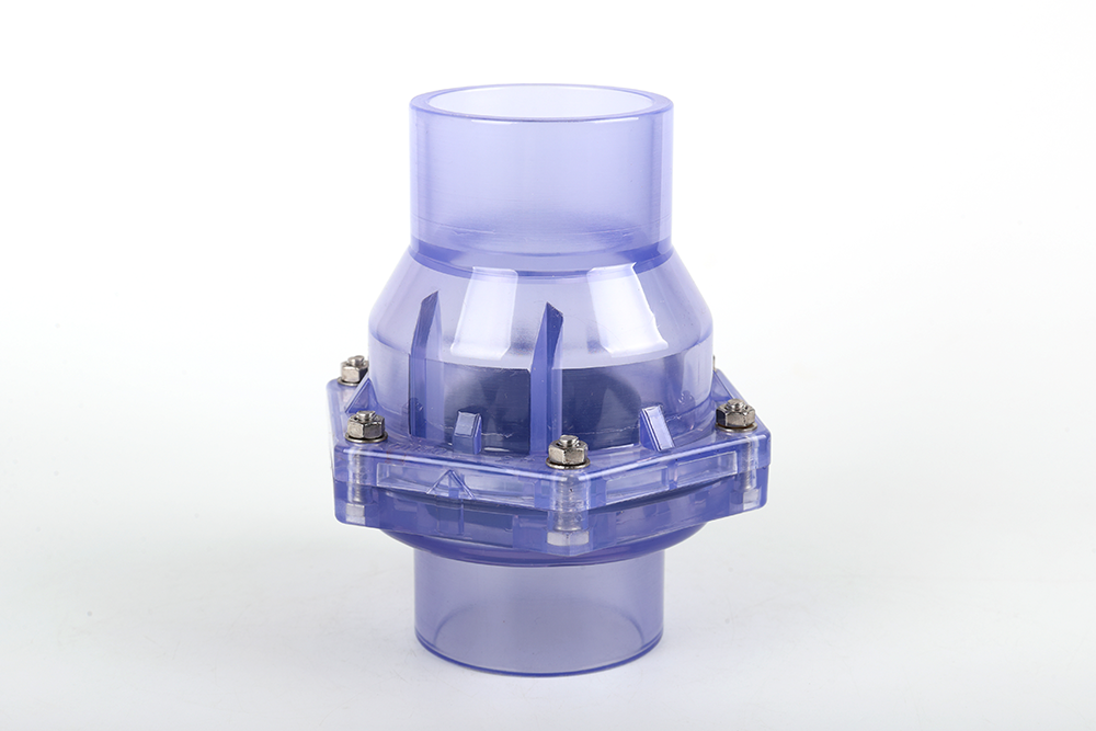 枣阳透明翻板式止回阀